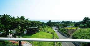 보우힐리조트