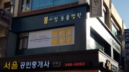 봄사랑동물병원