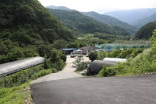 산수정
