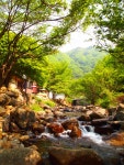 지리산카라반캠핑장;다촌민박 | 지리산벚꽃카라반캠핑장