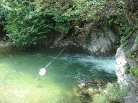 산수정
