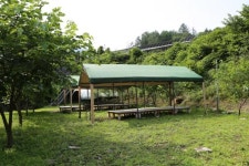 산수정