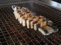 풍천숯불재벌장어