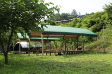 산수정