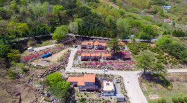 와일드플라워펜션