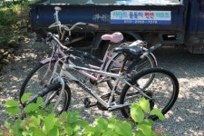 물돌이펜션리조트