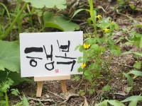 캘리그라피와 전각이 있는곳 이자까