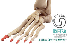 국제뷰티발건강진흥원