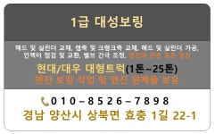 1급대성보링