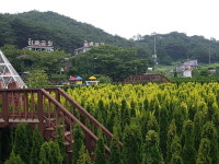 바람아래관광농원