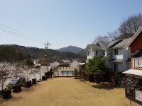 영월 동강 라메종 펜션