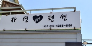 동강자연애
