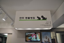 연두동물병원