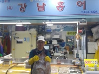 강남홍어