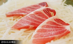 e참치세상