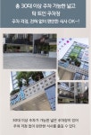 애기똥풀