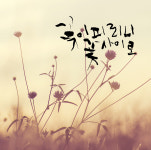 캘리그라피와 전각이 있는곳 이자까