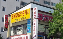 황금알공인중개사사무소