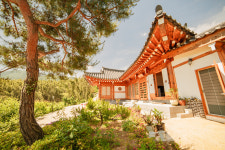 매죽헌한옥민박