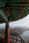 미르숲