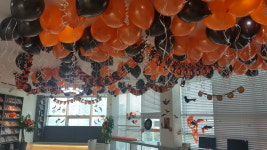 일신 국제어학원