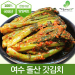 시온갓김치