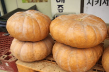 결성보신원