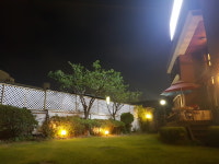 정일품 삼계탕 충주점