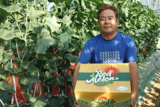 수신메론하늘농원