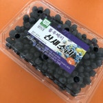 산새소리블루베리농장