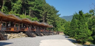 비로오토파크캠핑&펜션