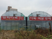 영희다육