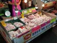 대우닭