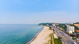 더퍼피즈블루오션 애견펜션 바닷가&해수욕장