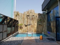 입실온천 찜질방