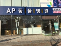 AP동물병원