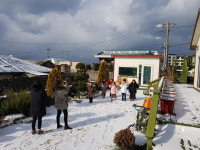 늘푸른 쉼 스테이