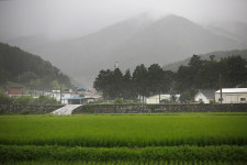 몽도