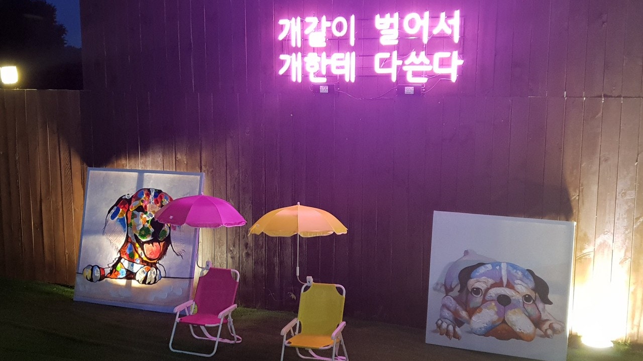 워시웨이 도그카페