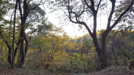 사자산체험휴양마을