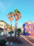 아리아펜션