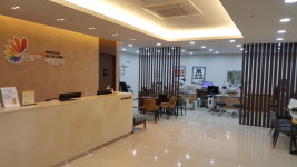 민들레제일안과의원