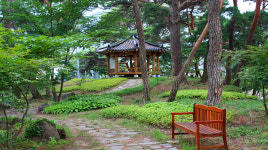 민들레여행 펜션