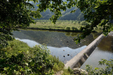 작은숲속 워케이션