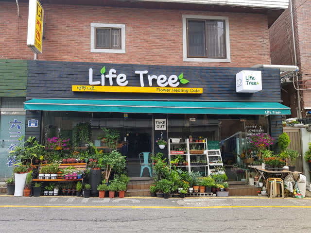 Life Tree