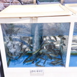 혜성식당