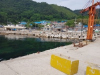대진항민박