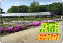 터울림 주말농장