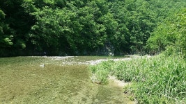 횡성병지방펜션