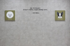 나음동물메디컬센터